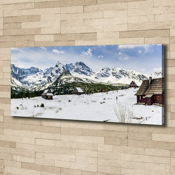 Pictură pe pânză Hale Tatry