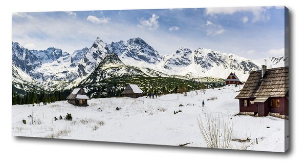 Pictură pe pânză Hale Tatry