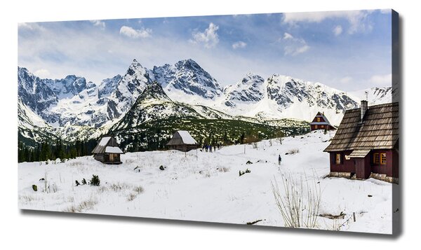 Pictură pe pânză Hale Tatry