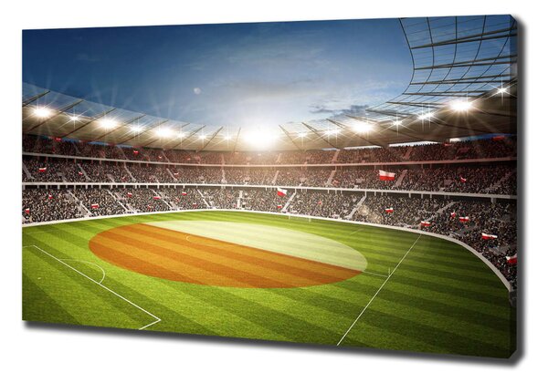 Tablouri tipărite pe pânză Stadion Polonia