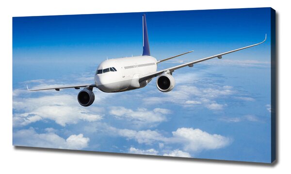 Imprimare tablou canvas Avionul în aer