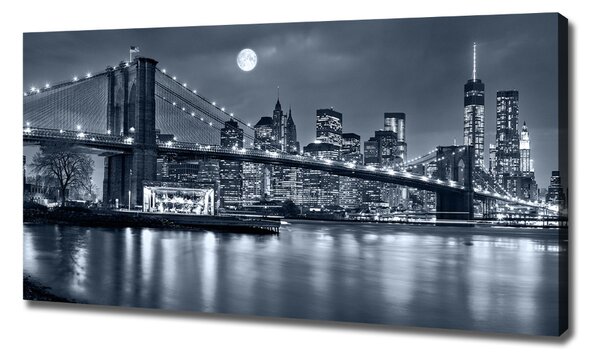 Pictură pe pânză Manhattan New York City