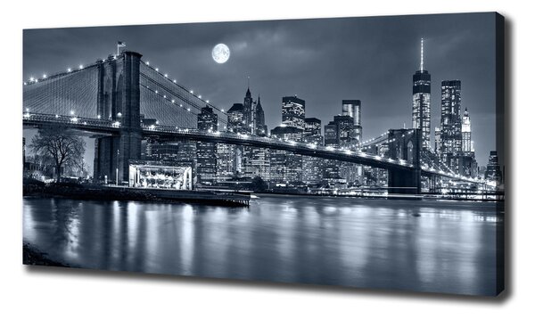 Pictură pe pânză Manhattan New York City