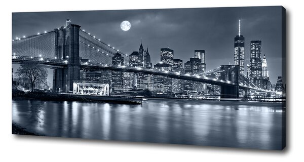 Pictură pe pânză Manhattan New York City