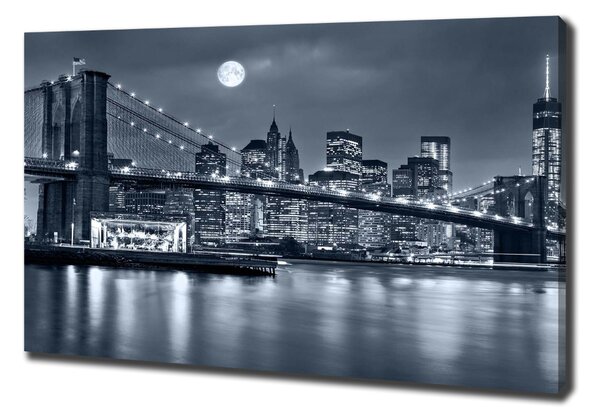 Pictură pe pânză Manhattan New York City