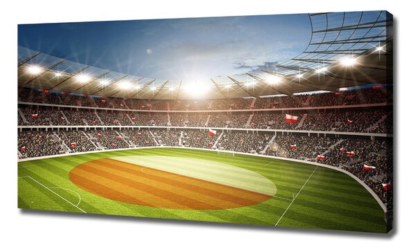 Tablouri tipărite pe pânză Stadion Polonia