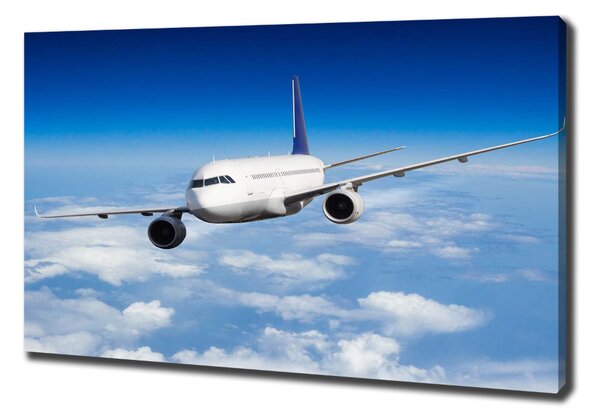 Imprimare tablou canvas Avionul în aer