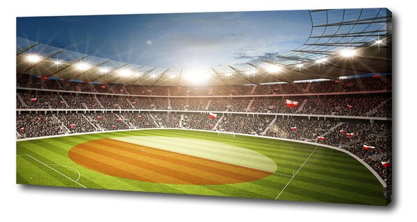Tablouri tipărite pe pânză Stadion Polonia