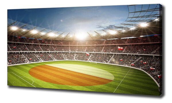 Tablouri tipărite pe pânză Stadion Polonia