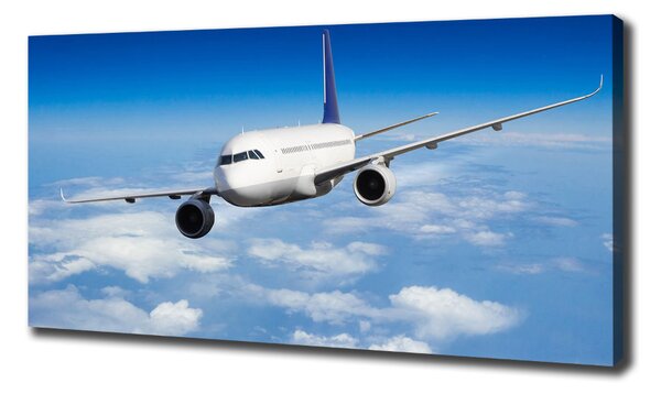 Imprimare tablou canvas Avionul în aer