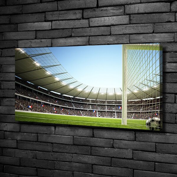 Tablou canvas Franța stadion
