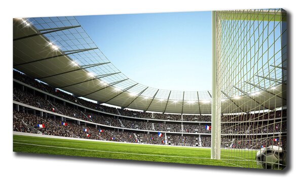 Tablou canvas Franța stadion
