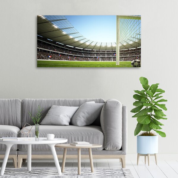 Tablou canvas Franța stadion