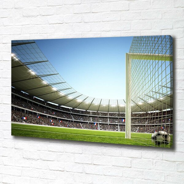 Tablou canvas Franța stadion