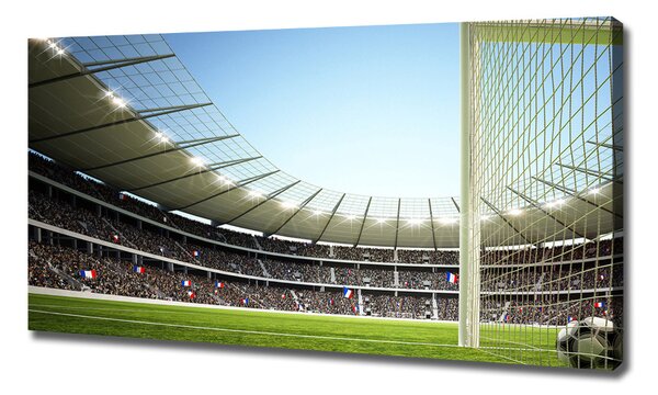 Tablou canvas Franța stadion