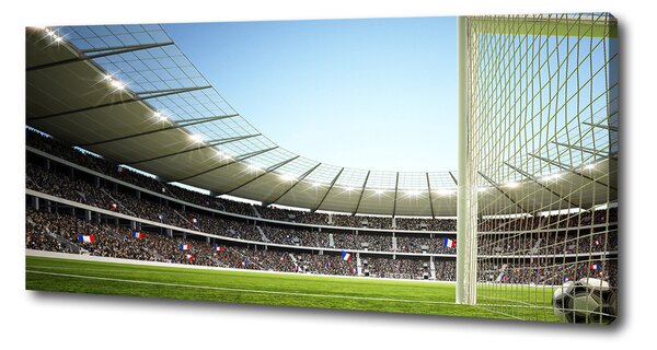 Tablou canvas Franța stadion