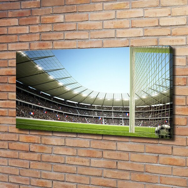 Tablou canvas Franța stadion