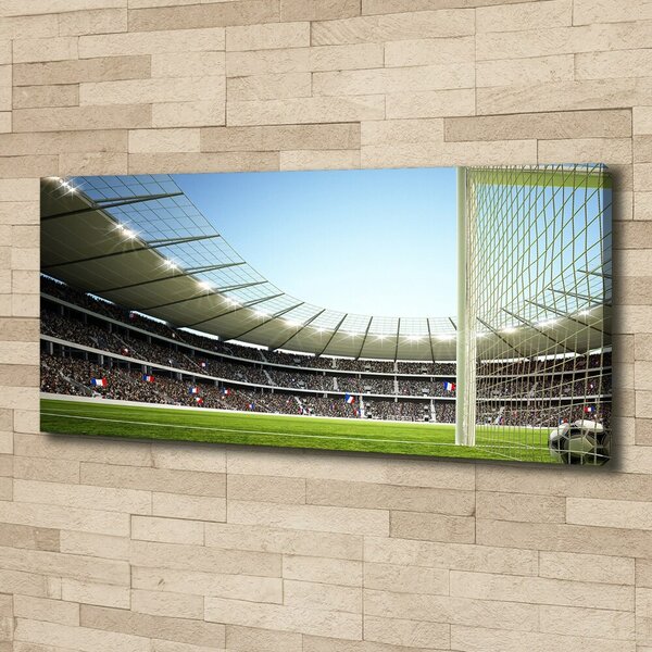 Tablou canvas Franța stadion