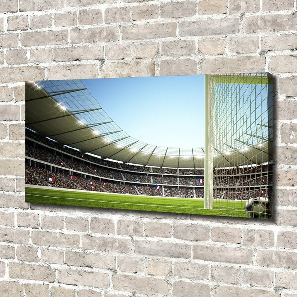 Tablou canvas Franța stadion