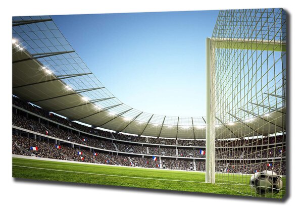 Tablou canvas Franța stadion