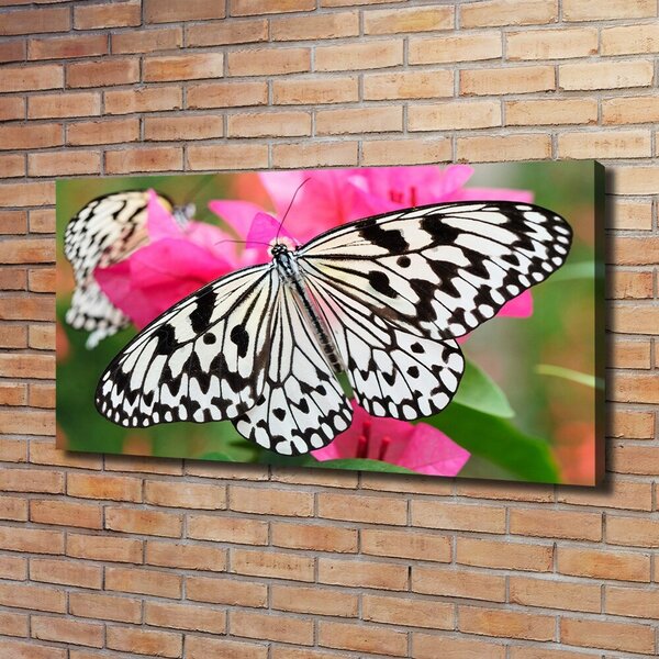 Tablou pe pânză canvas Fluture pe o floare