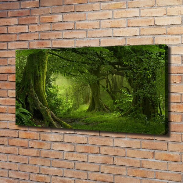 Tablou pe pânză jungla tropicala