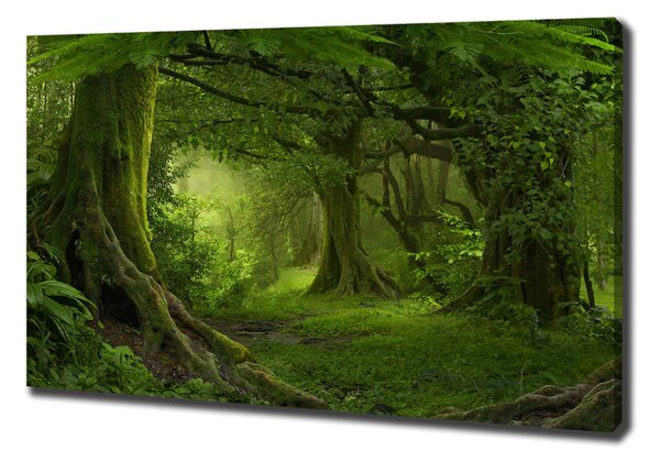 Tablou pe pânză jungla tropicala