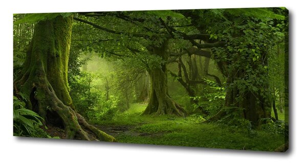Tablou pe pânză jungla tropicala
