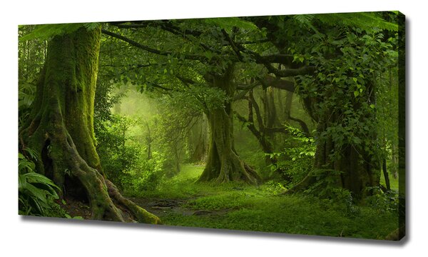Tablou pe pânză jungla tropicala
