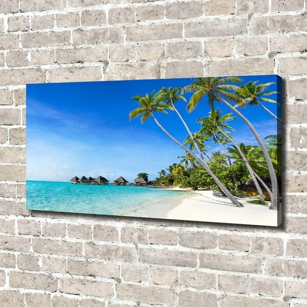 Tablou pe pânză canvas Maldive
