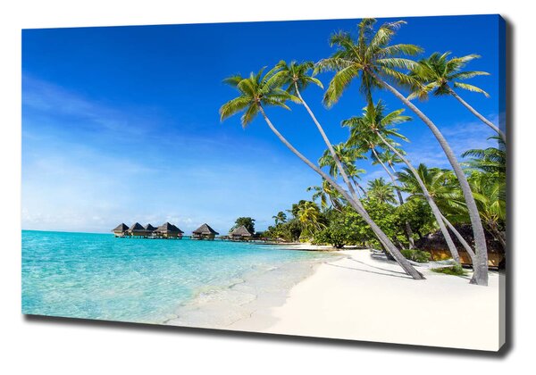 Tablou pe pânză canvas Maldive