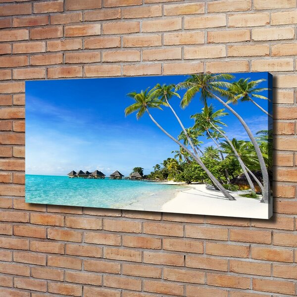 Tablou pe pânză canvas Maldive
