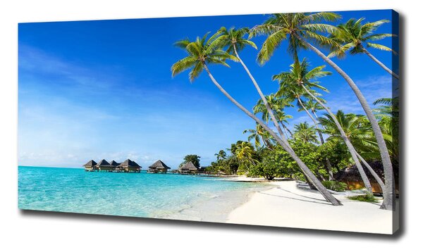 Tablou pe pânză canvas Maldive