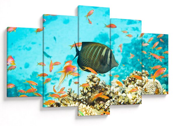 Tablou lumii submarine (150x105 cm)