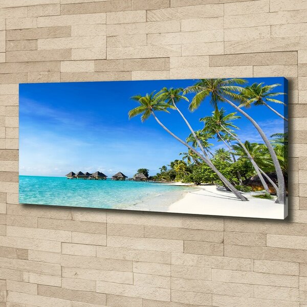 Tablou pe pânză canvas Maldive