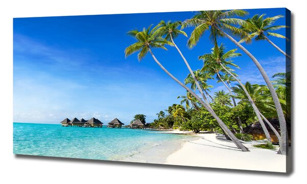 Tablou pe pânză canvas Maldive