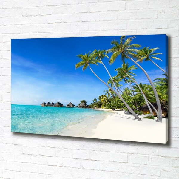 Tablou pe pânză canvas Maldive