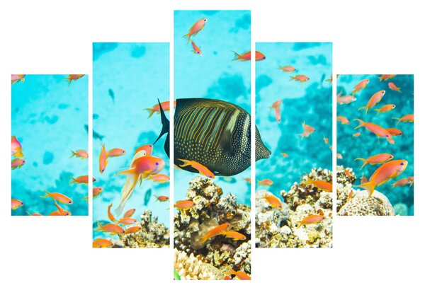 Tablou lumii submarine (150x105 cm)