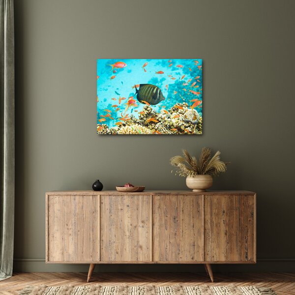 Tablou lumii submarine (70x50 cm)