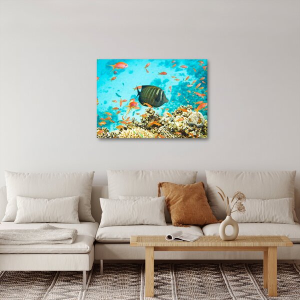 Tablou lumii submarine (70x50 cm)