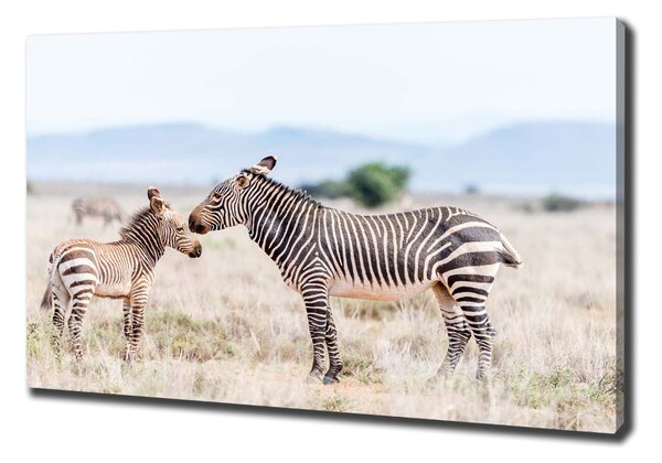 Pictură pe pânză Zebre în munți