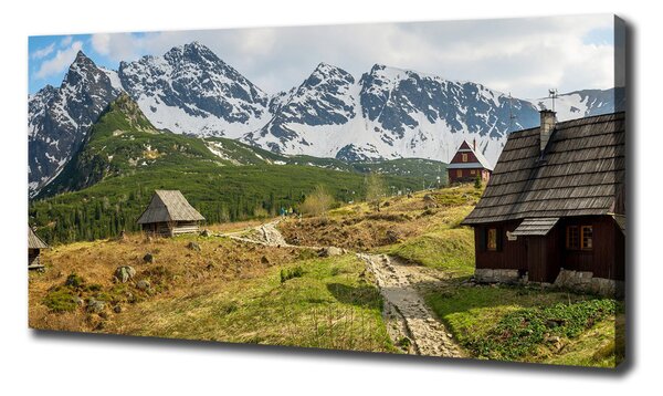 Print pe canvas Hale Tatry