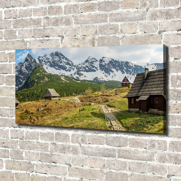 Print pe canvas Hale Tatry