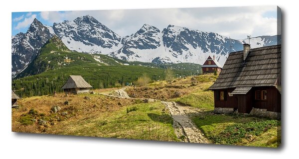 Print pe canvas Hale Tatry