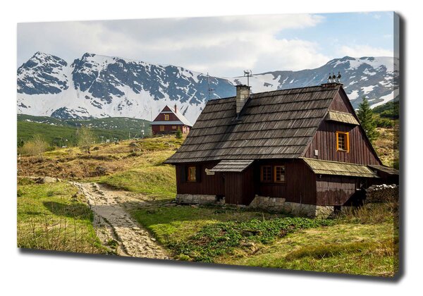 Print pe canvas Hale Tatry