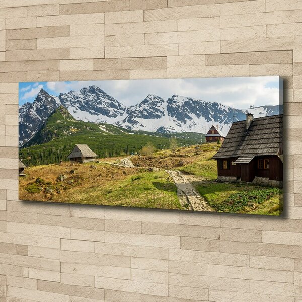 Print pe canvas Hale Tatry