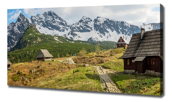 Print pe canvas Hale Tatry