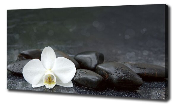Print pe canvas Orhidee