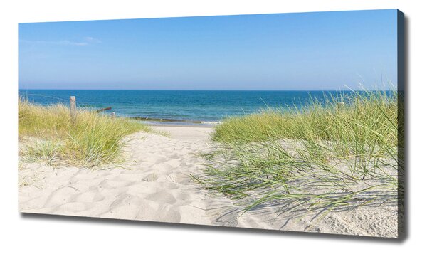 Print pe canvas dune de coastă