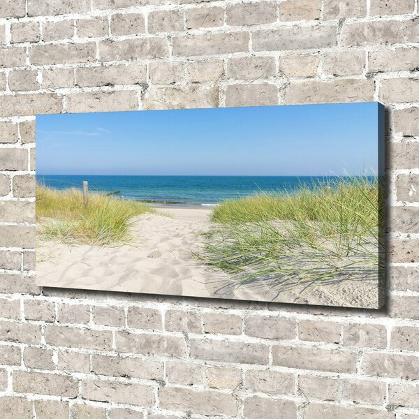 Print pe canvas dune de coastă